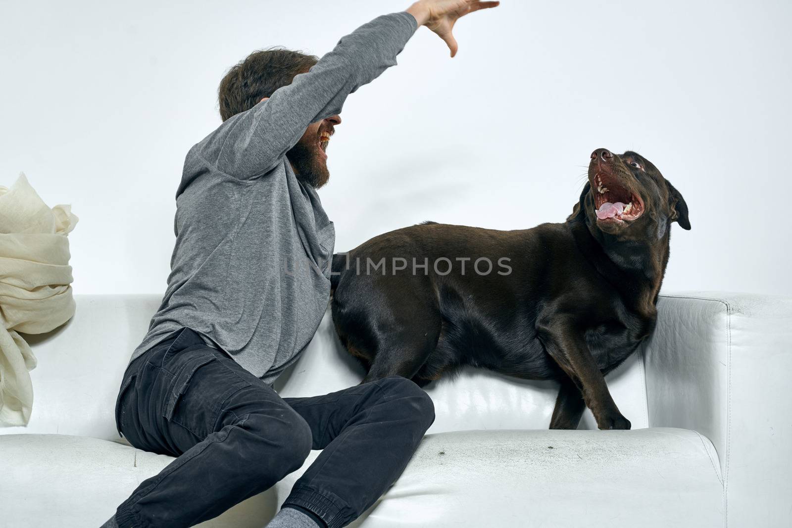 Happy man and dog on the couch In a bright room pet is a friend of man by SHOTPRIME