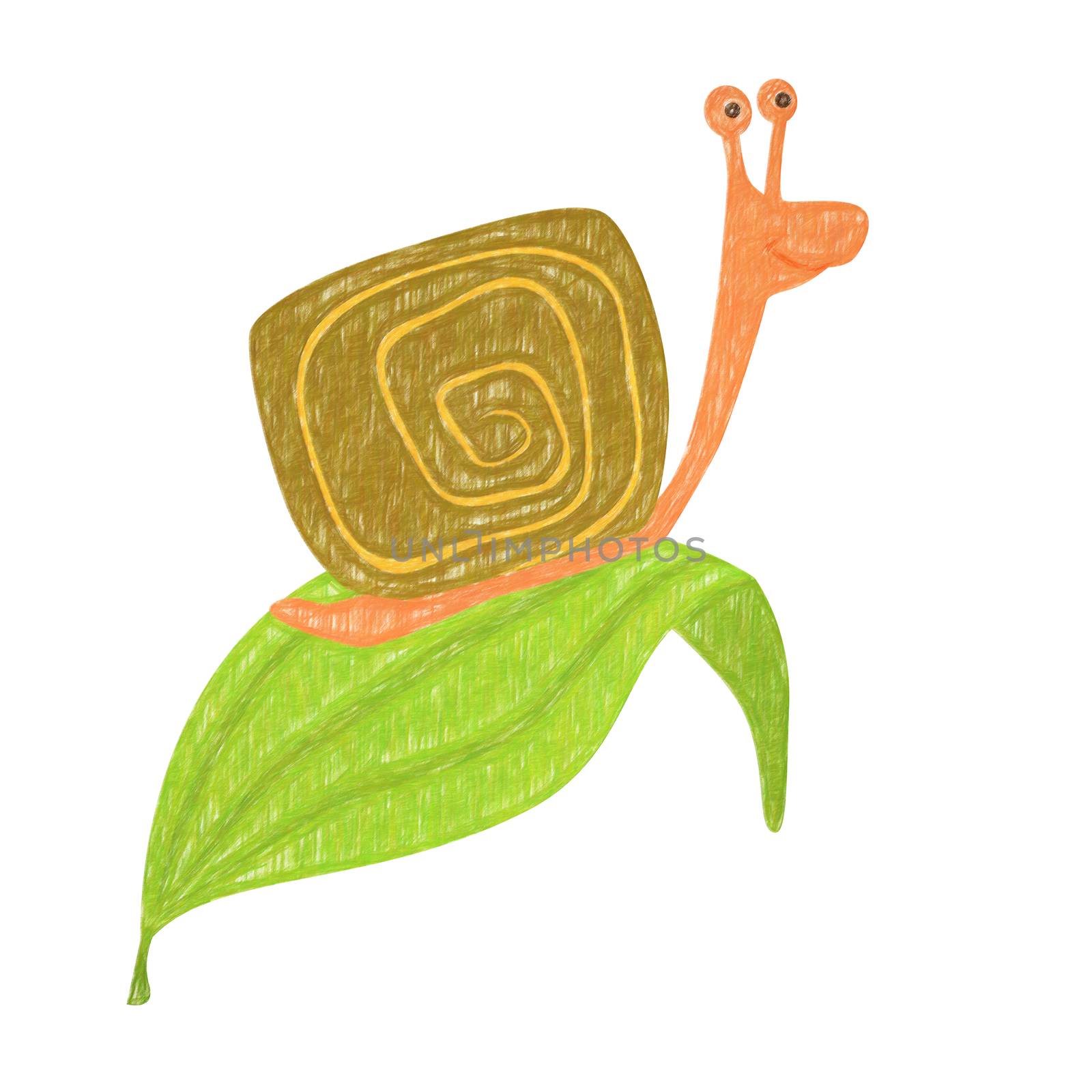 Snail isolated. Hand drawing snail for a child