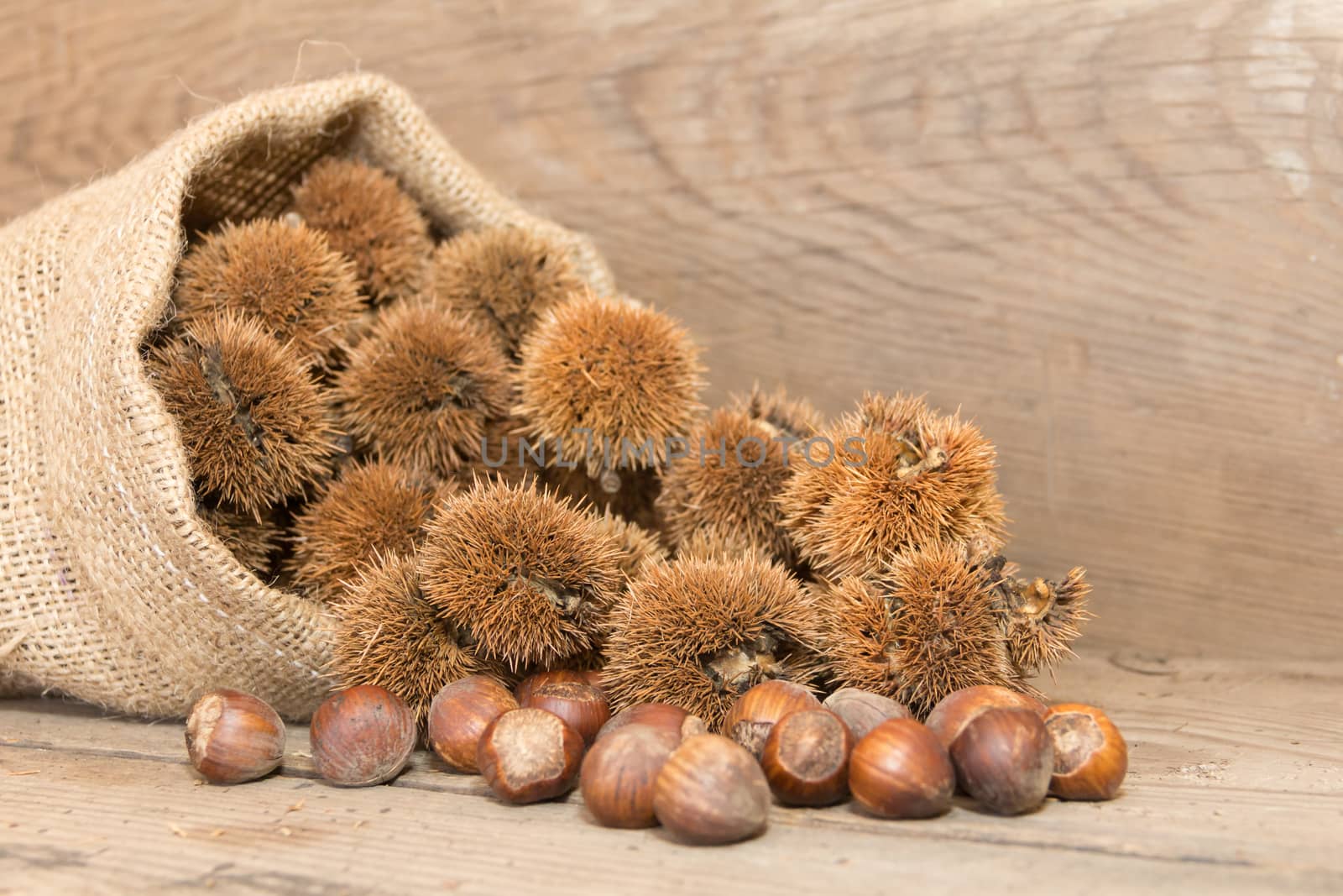 bag that spills chestnuts on rustic wood
