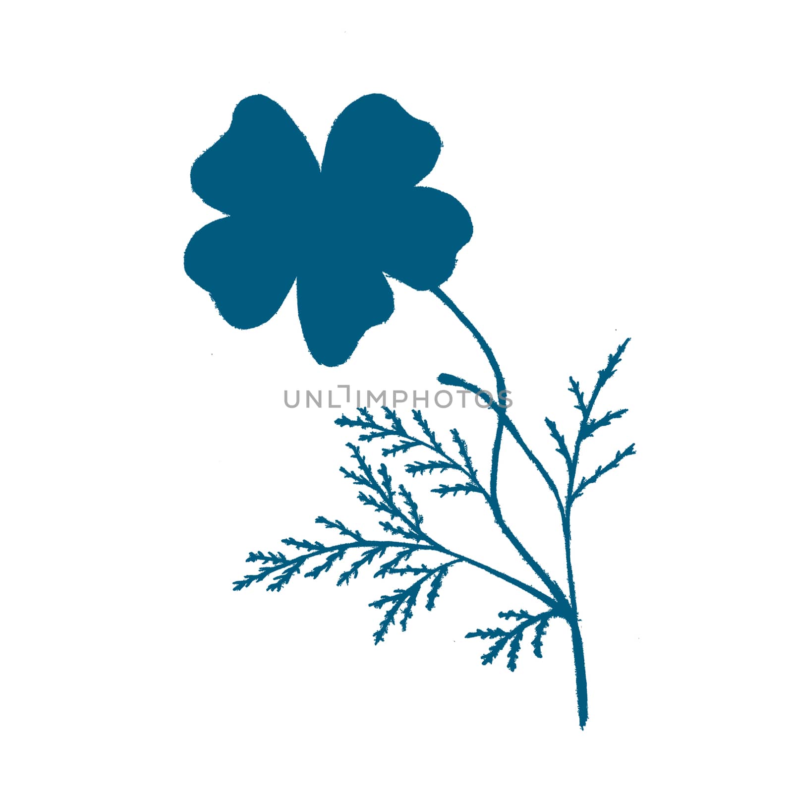 Blue Hand-Drawn Flower Silhouette. Thin-leaved Marigolds Sketch. by Rina_Dozornaya