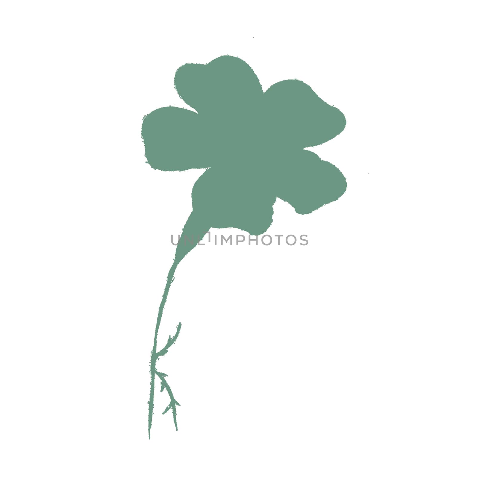 Green Hand-Drawn Isolated Flower Silhouette. Monochrome Botanical Plant Illustration in Sketch Style. Thin-leaved Marigolds for Print, Tattoo, Design, Holiday, Wedding and Birthday Card.
