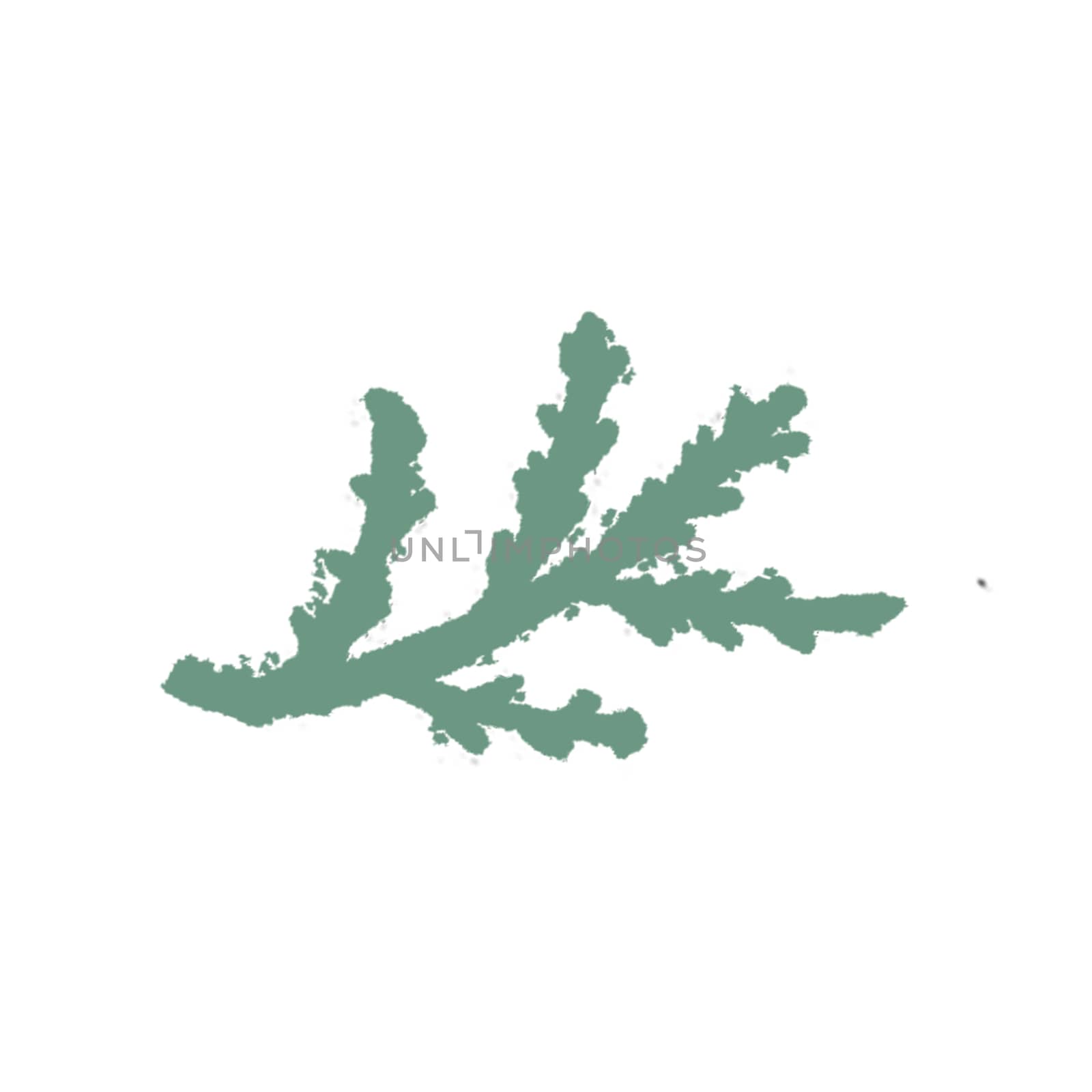 Green Hand-Drawn Flower Twig. Thin-leaved Marigolds Sketch. by Rina_Dozornaya