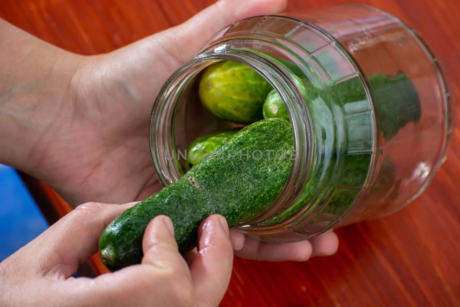 cucumbers in jars, the process of making pickled gherkins