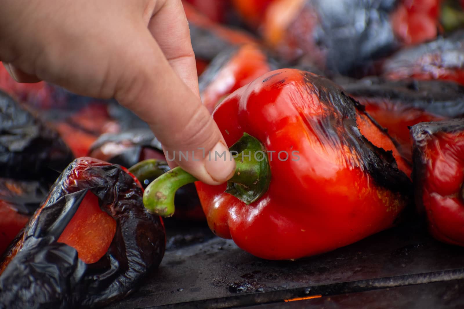 Red peppers roasting on a wood-fired stove in preparation for making ajvar, a traditional serbian dish