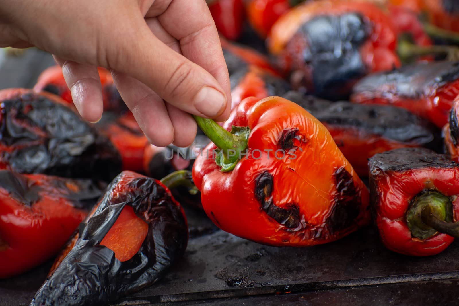 Red peppers roasting on a wood-fired stove in preparation for making ajvar, a traditional serbian dish