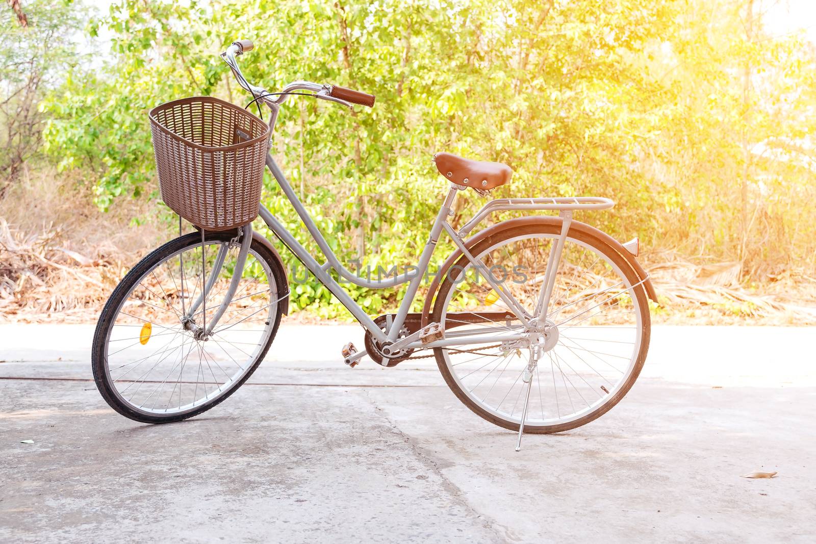 Beautiful vintage bicycle in the forest with colorful sunlight ; vintage filter style for greeting card and post card.