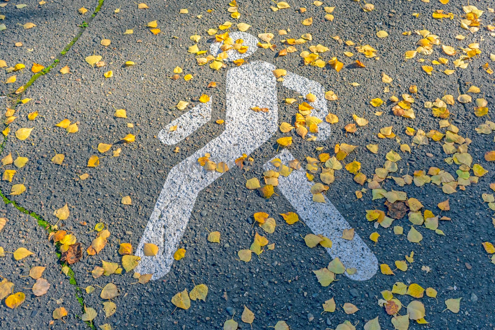 Pictured on the asphalt a pedestrian zone sign covered with autumn leaves