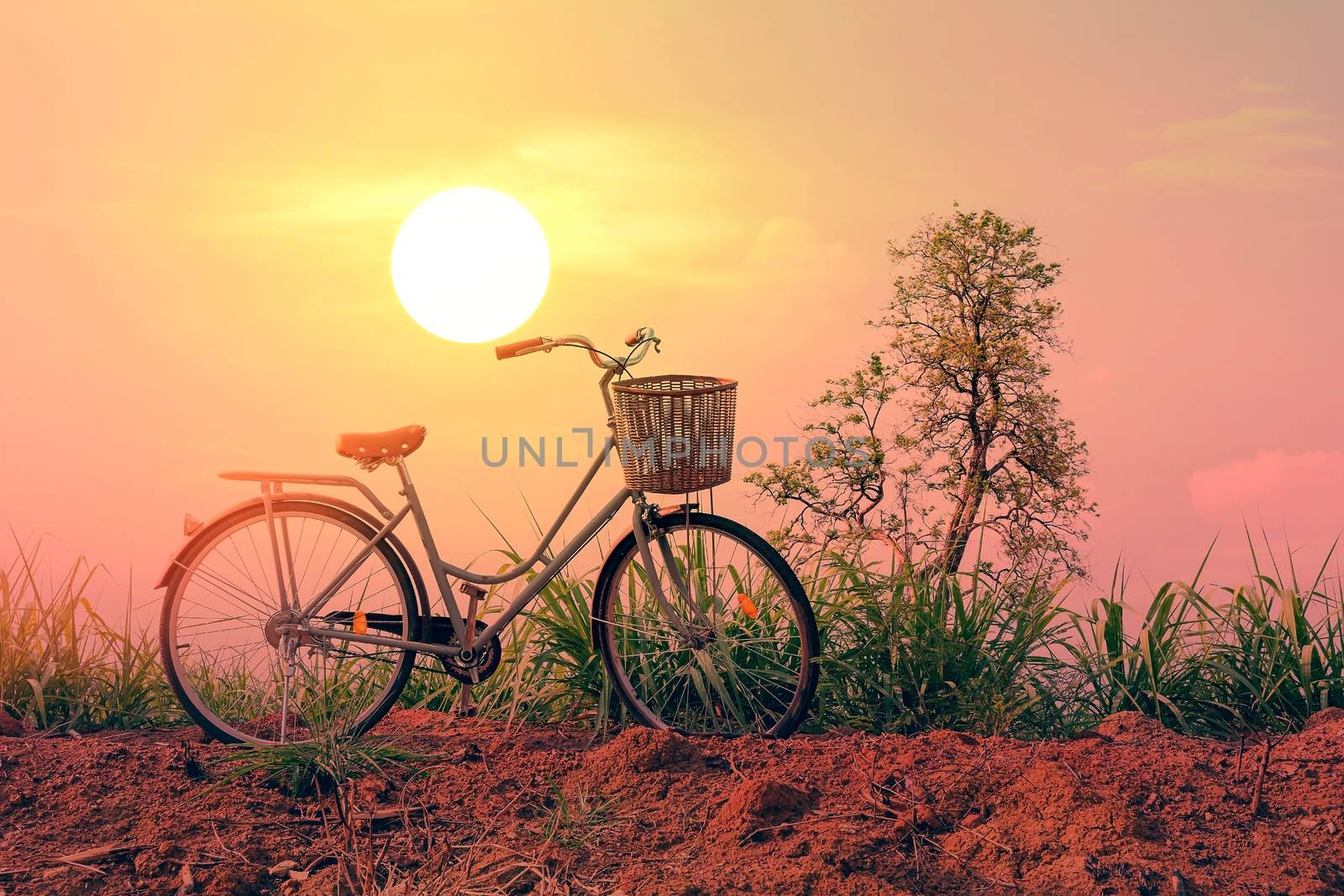 Beautiful vintage bicycle in the field with colorful sunlight and blue sky ; vintage filter style for greeting card and post card.