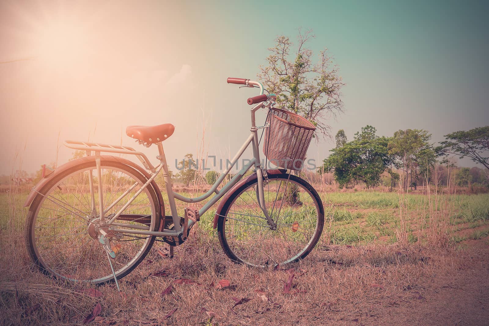 Beautiful vintage bicycle. by wattanaphob