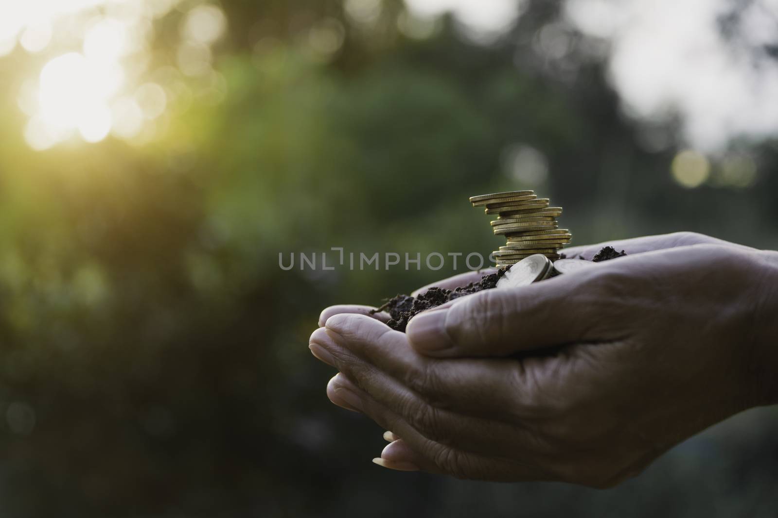 Saving money concept with hand holding money coin stack. financial and accounting concept.