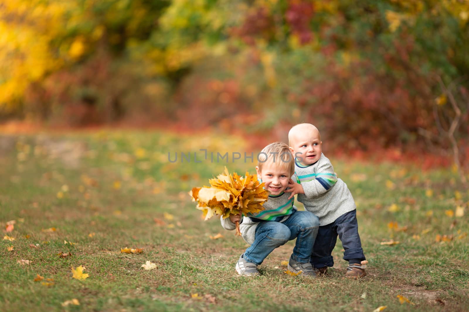 Happy little boys gathering autumn leaves in the park in autumn