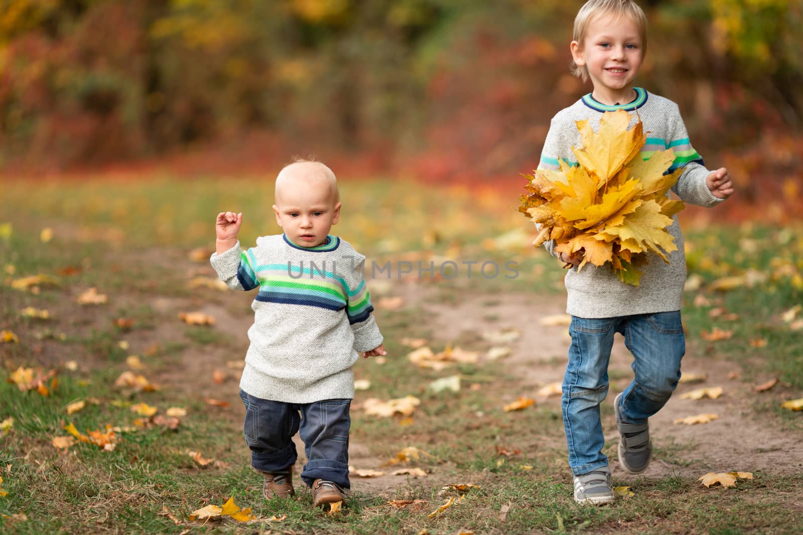 Happy little boys gathering autumn leaves in the park in autumn