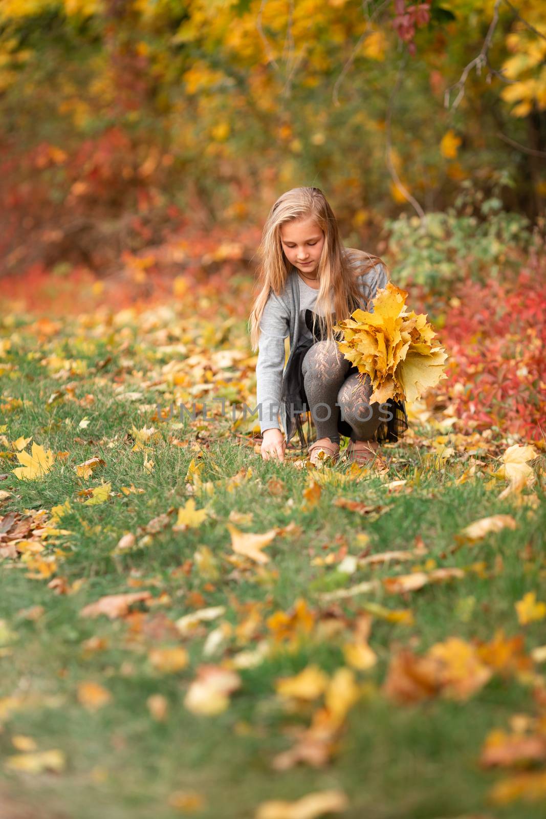 Beautiful little girl gathering autumn leaves in the park outdoor