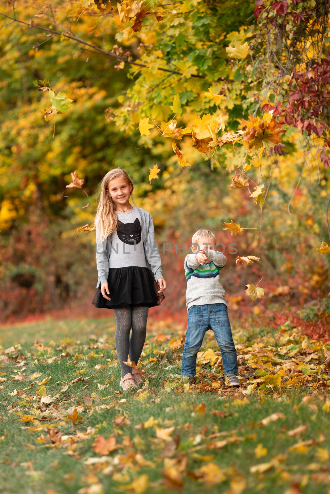 Happy little kids jumping with autumn leaves in the park outdoor