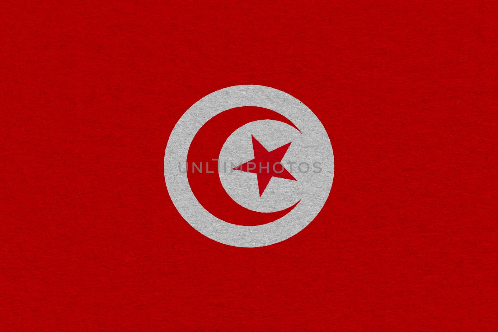 Tunisia flag painted on paper. Patriotic background. National flag of Tunisia