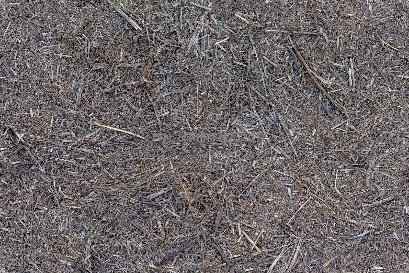 seamless texture and background of dry gray dead shredded grass or straw on the ground - grim rustic barn or yard floor or road