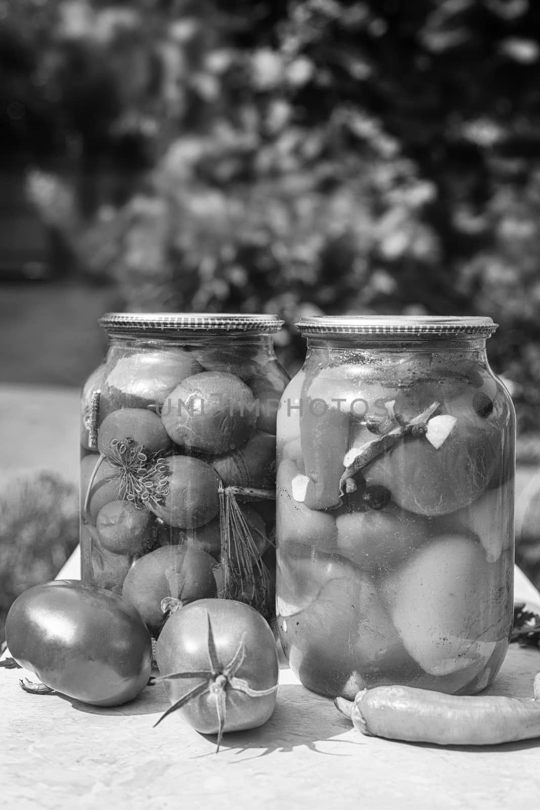 Home preservation: two large glass jars with red ripe pickled tomatoes and peppers, closed with a metal lid, on a table in the garden. Front view, copy space.Black and white image