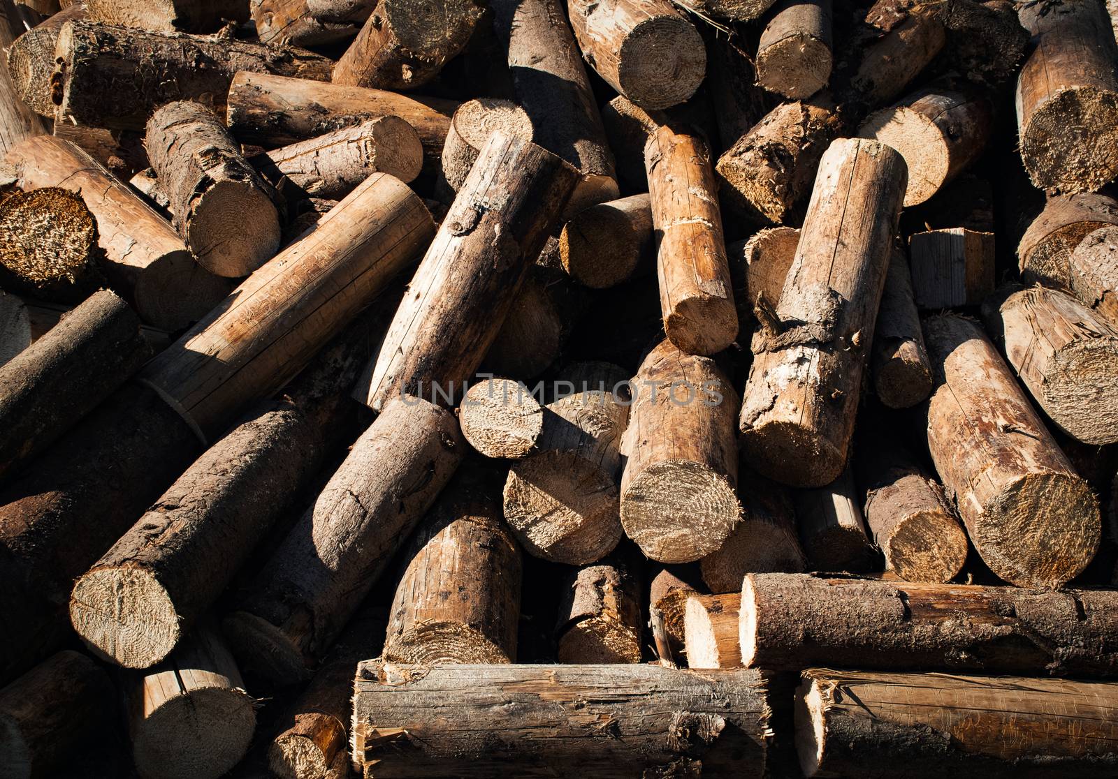 wood logs ready for winter by Ahojdoma