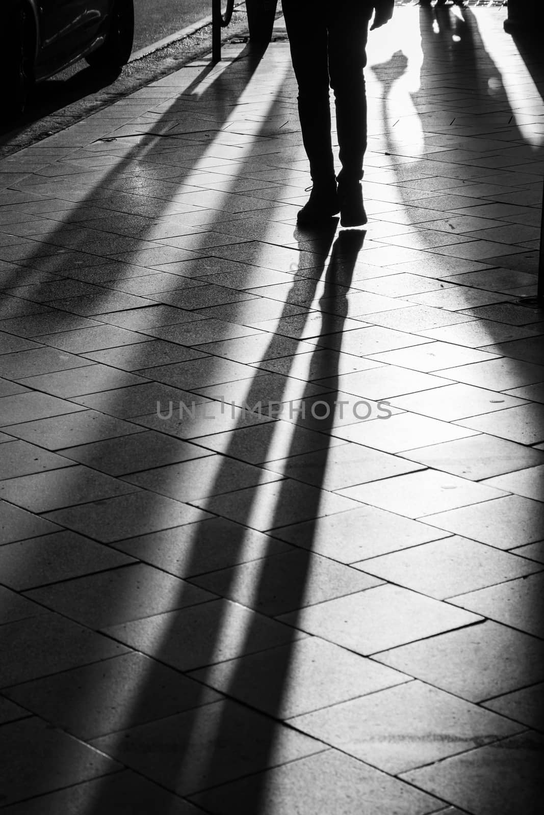 Long human shadows projected on the pavement at sunset by mauricallari