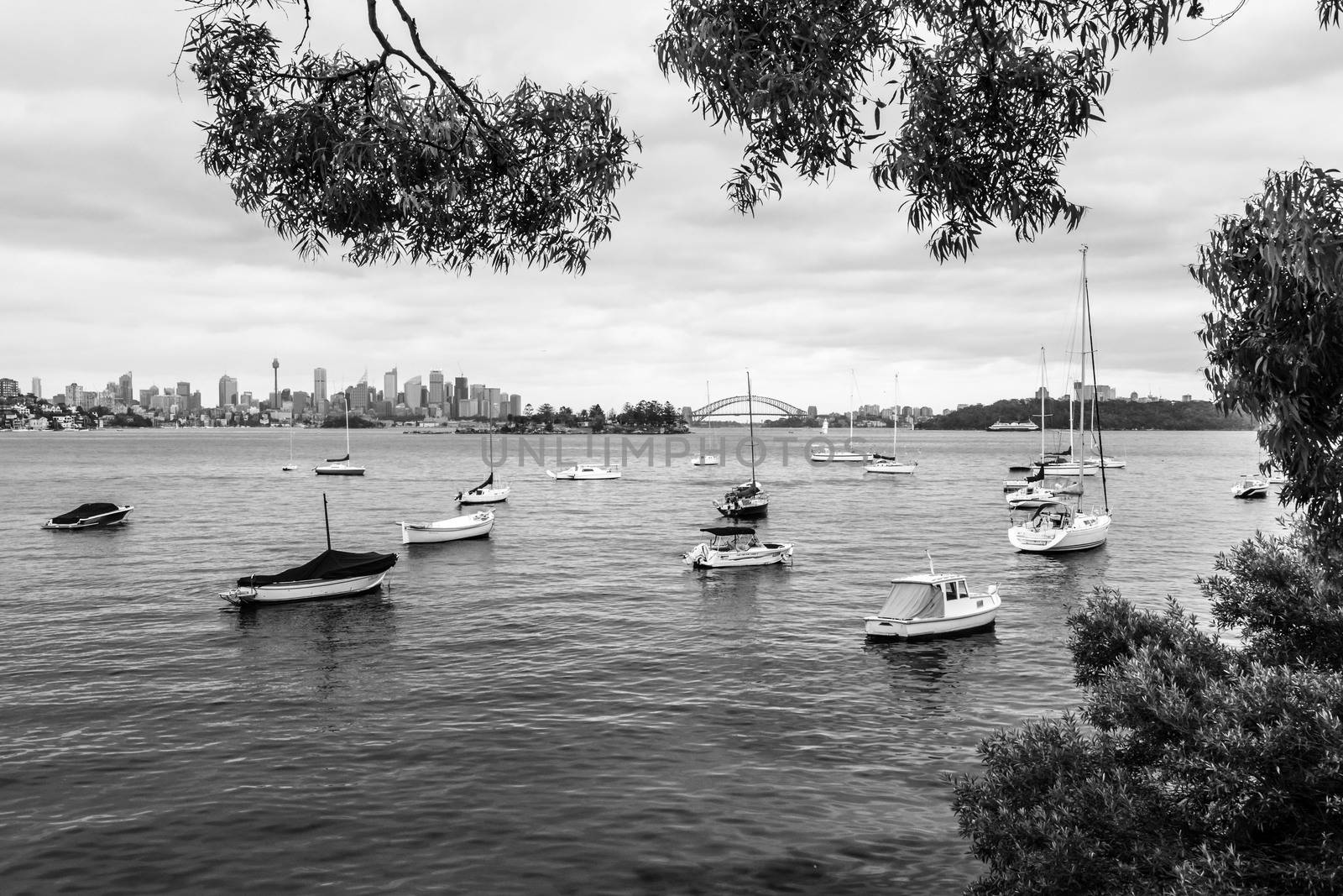 Black and white of Sydney skyline and Harbour bridge from Hermit Bay. High quality photo