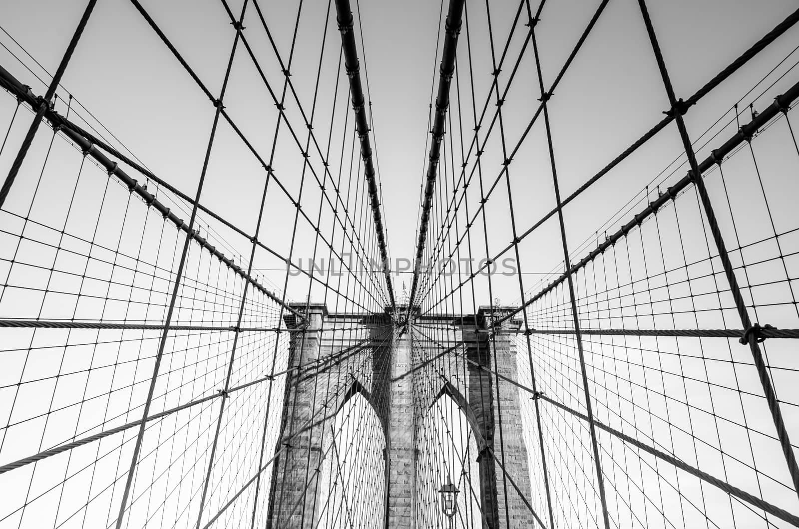 The web of cables of Brooklyn bridge in black and white, New York, USA by mauricallari