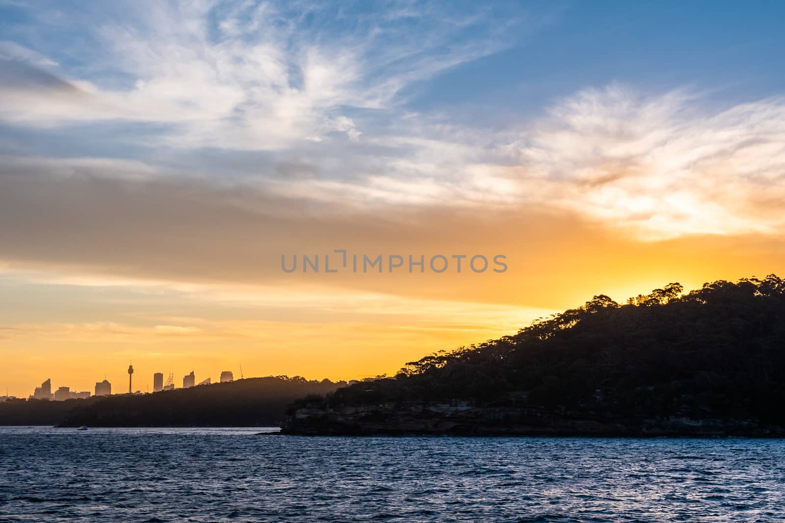 Backlight skyline of Sydney CBD from the bay at sunset by mauricallari