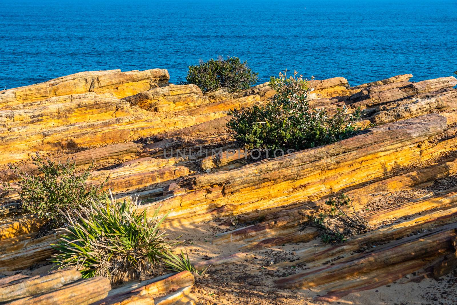 Sedimentary rocks near Coogee Beach, Sydney NSW Australia by mauricallari