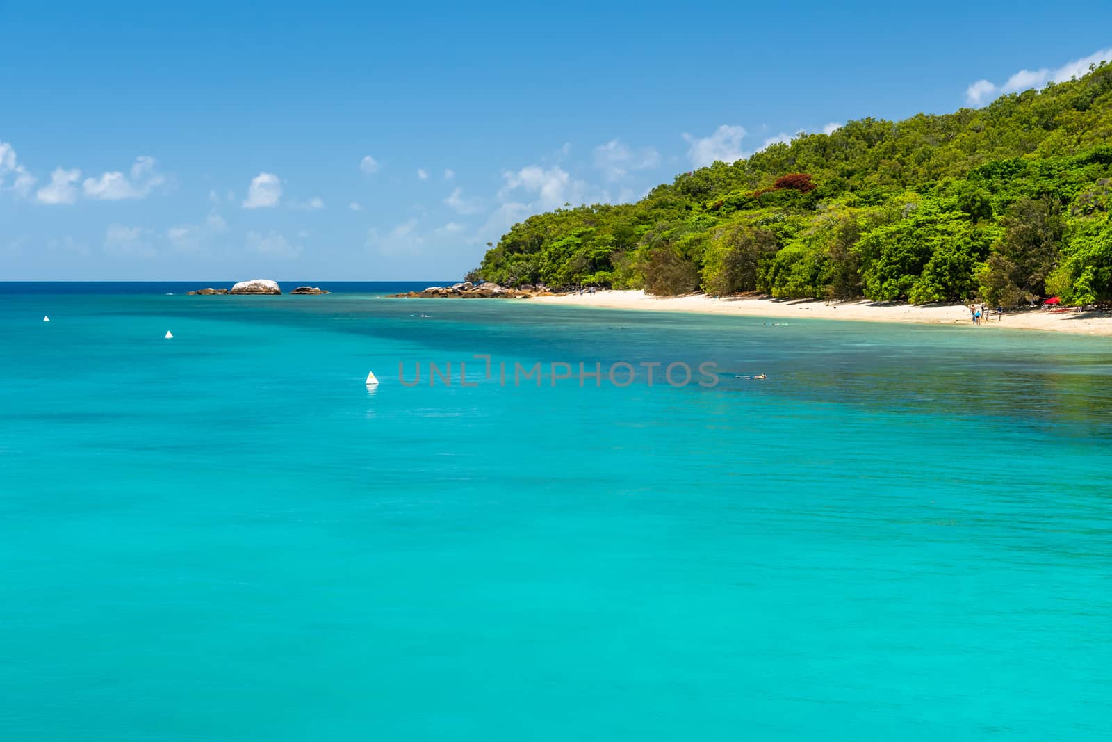 coastline of the tropical Fitzroy Island surrounded by the barrier reef. Vivid colours of a sunny day with blue sky. Queensland, Australia