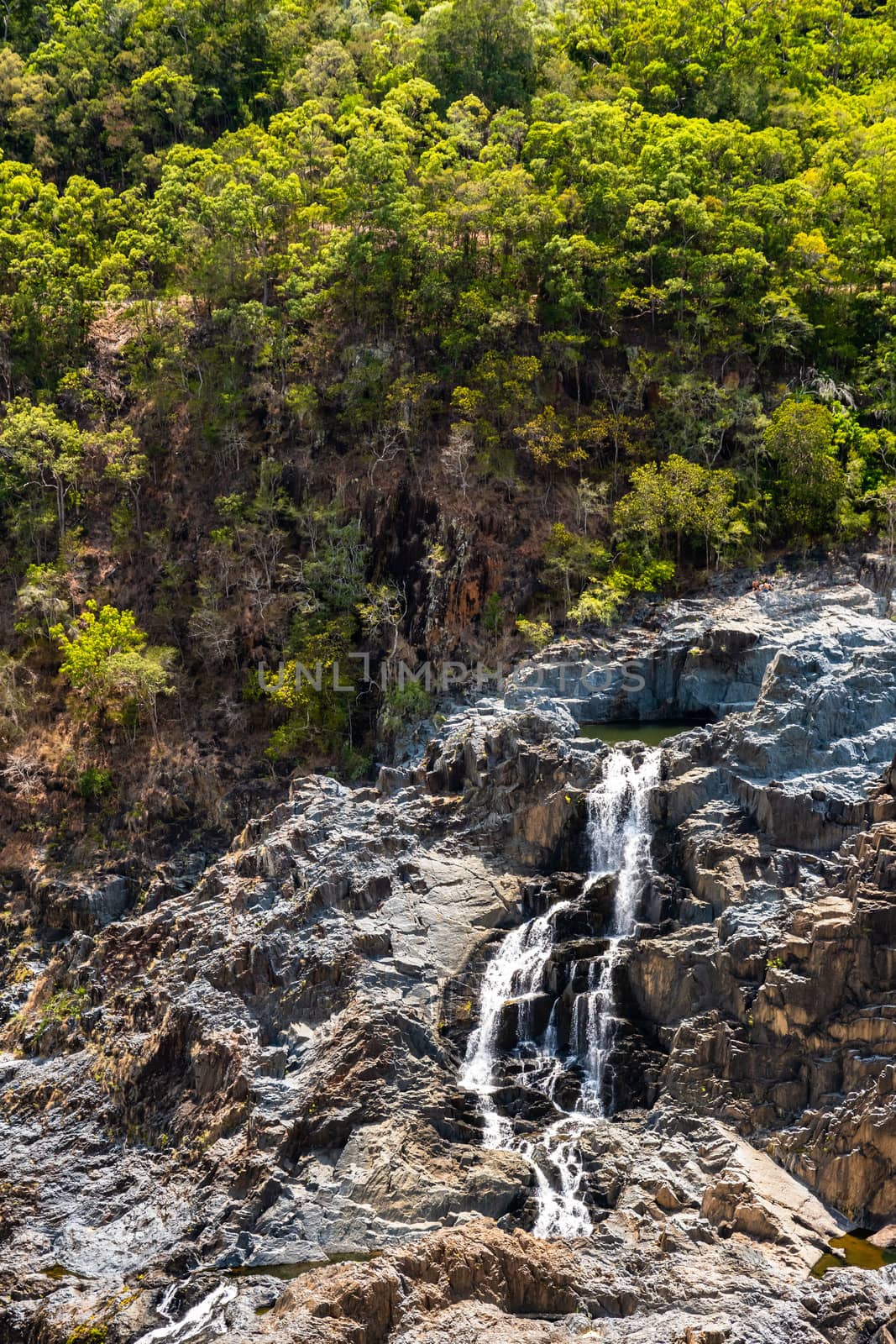 View of the Barron Falls near Kuranda in north Queensland, Australia by mauricallari