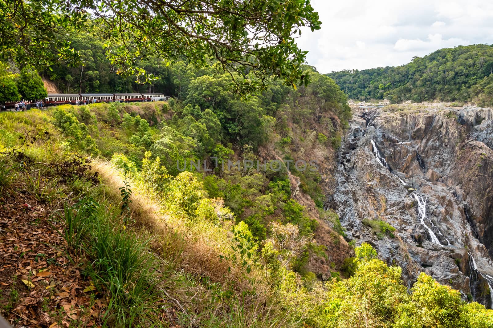 View of the Barron Falls near Kuranda from the train viewpoint by mauricallari