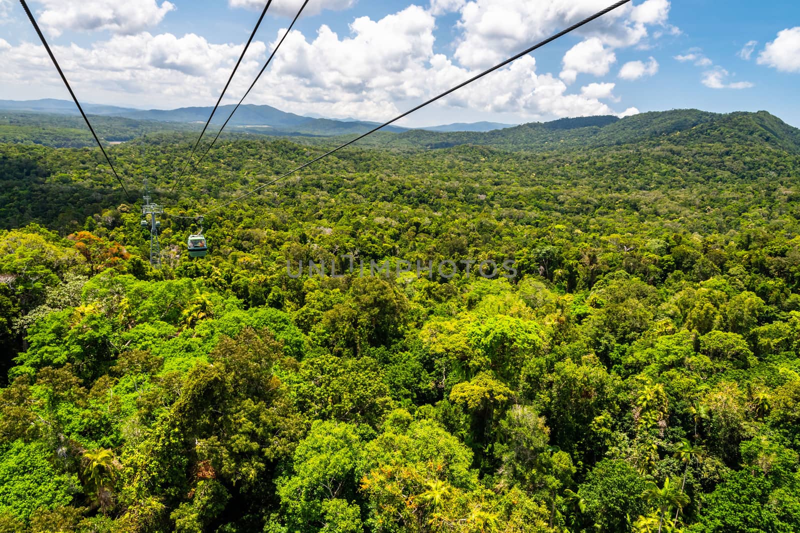Top view of green and majestic Australian rainforest from a cableway in Kuranda