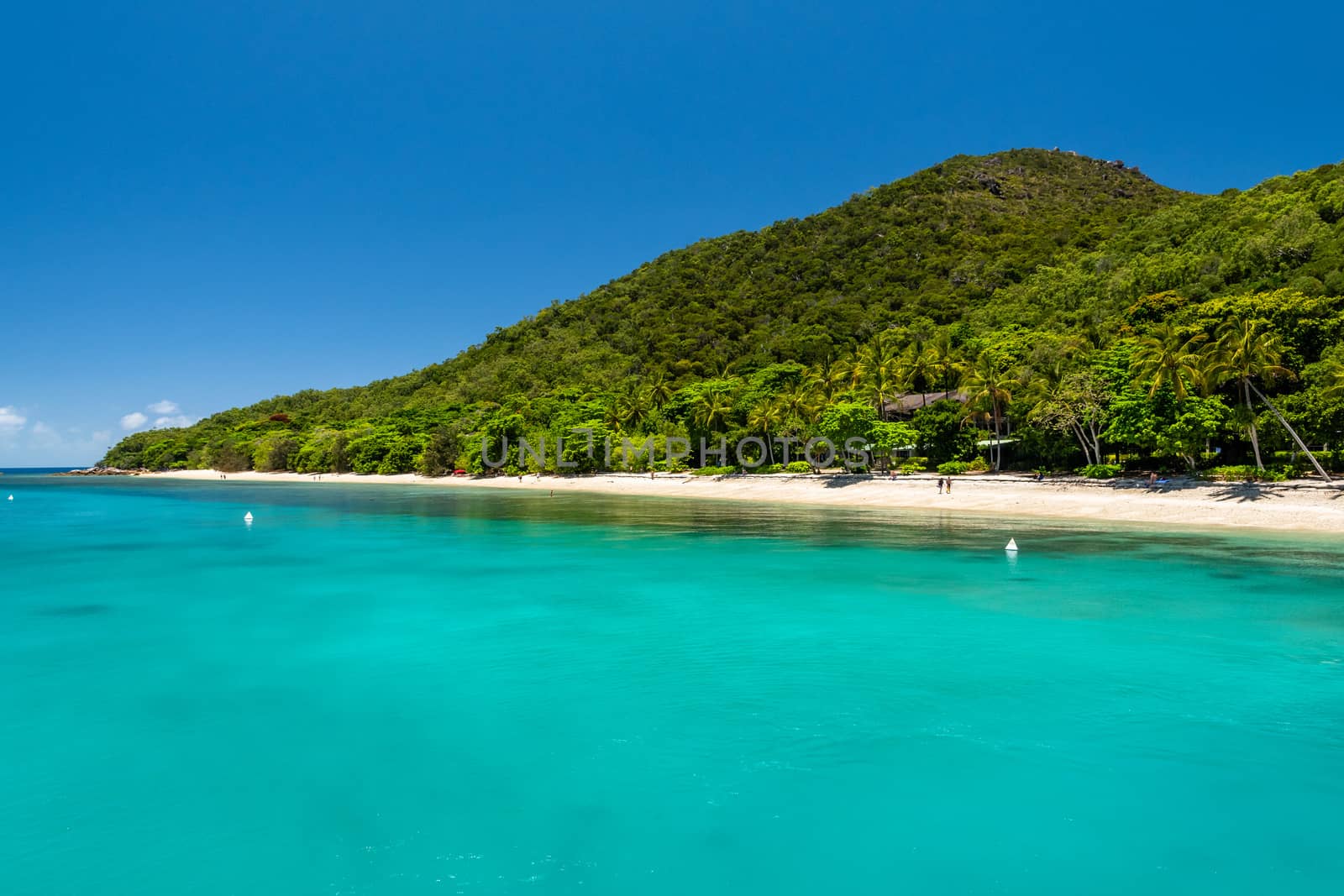 Fitzroy tropical Island beach in a sunny day by mauricallari