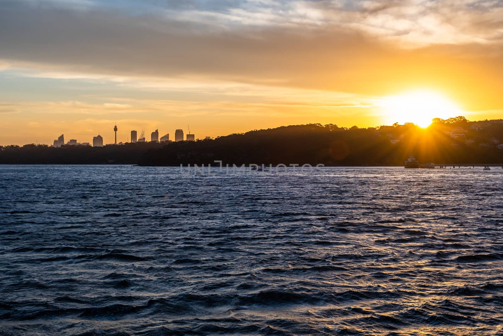 Backlight skyline of Sydney CBD from the bay at sunset by mauricallari