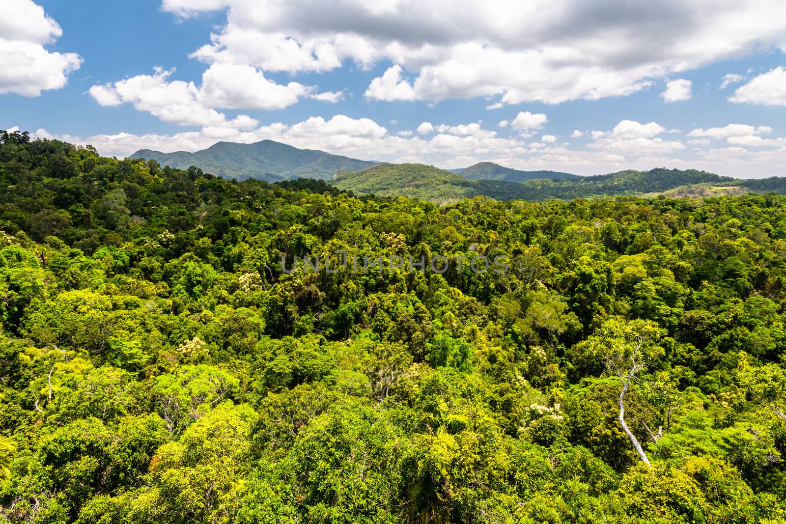 Top view of green and majestic Australian rainforest from a cableway in Kuranda with some clouds and blue sky