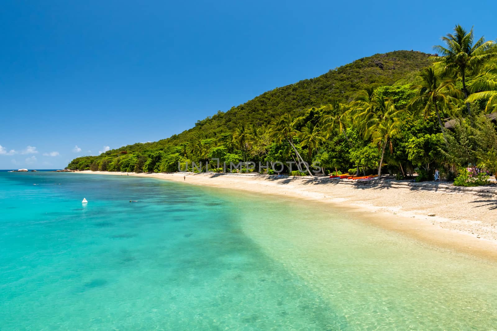 Fitzroy tropical Island beach in a sunny day by mauricallari