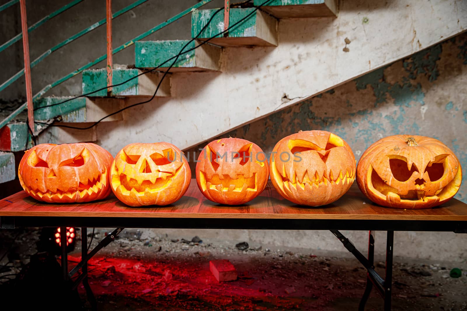 Row of pumpkins for Halloween on wooden table. by 9parusnikov