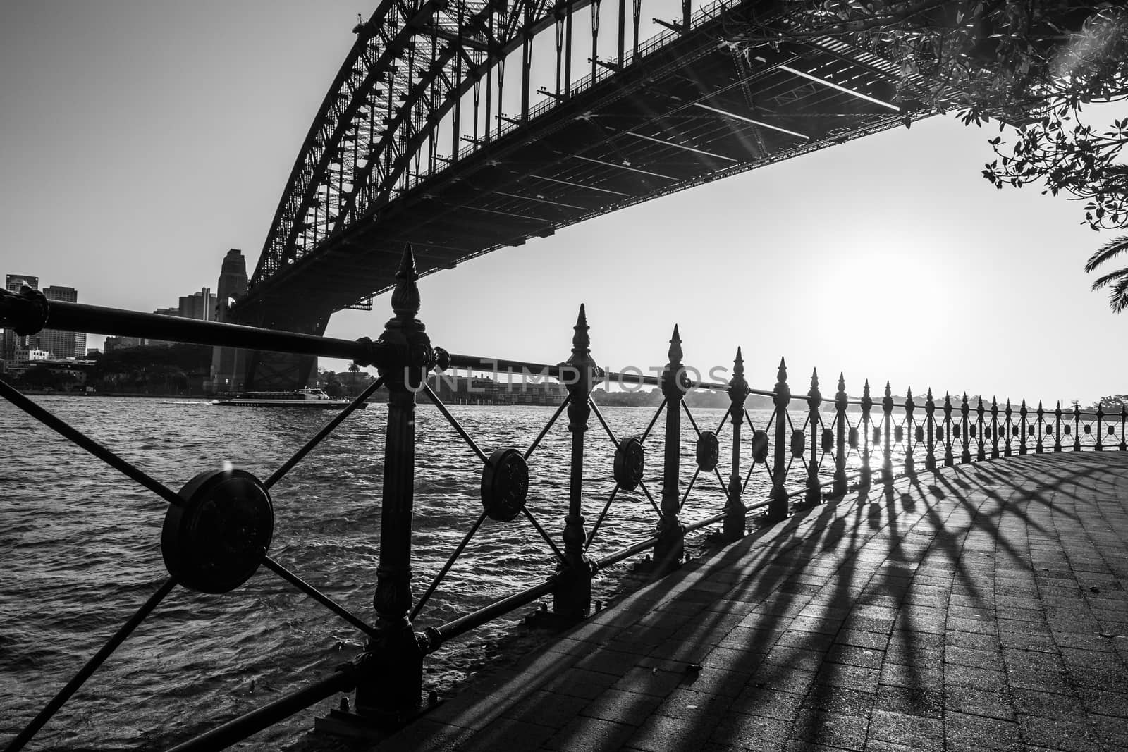 Backlight black and white image of Harbour Bridge at sunset, Sydney, Australia