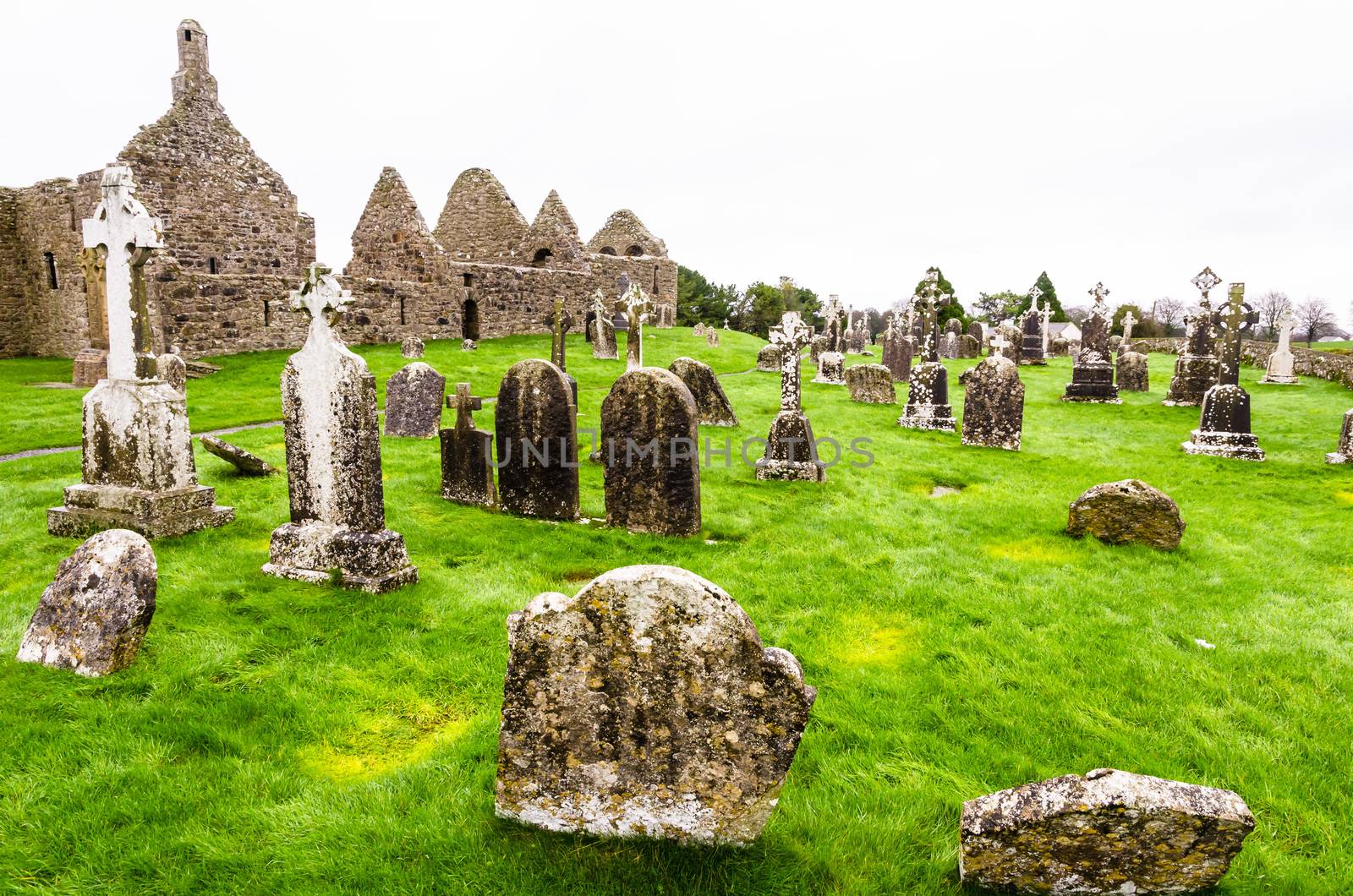 The ancient monastic city of Clonmacnoise with the typical crosses and graves surrounded by green grass, Ireland
