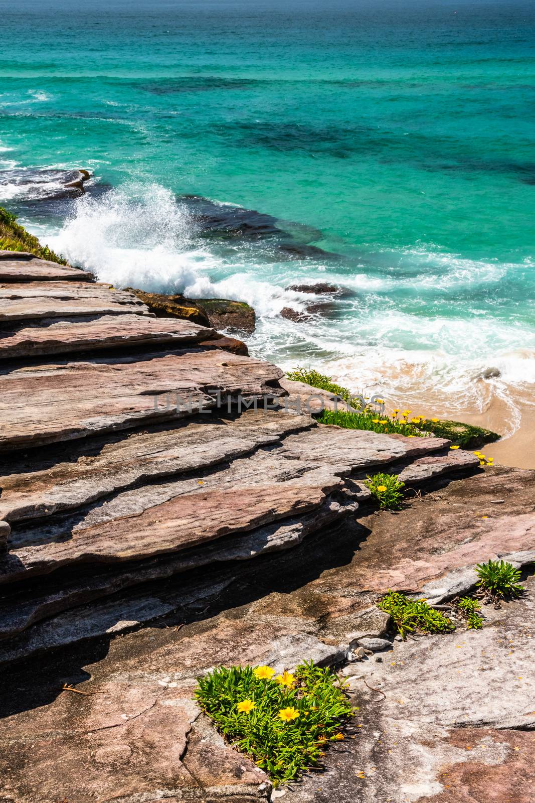 Close up of the coastline and rocks captured from the Coogee to Bondi walk, Sydney, Australia
