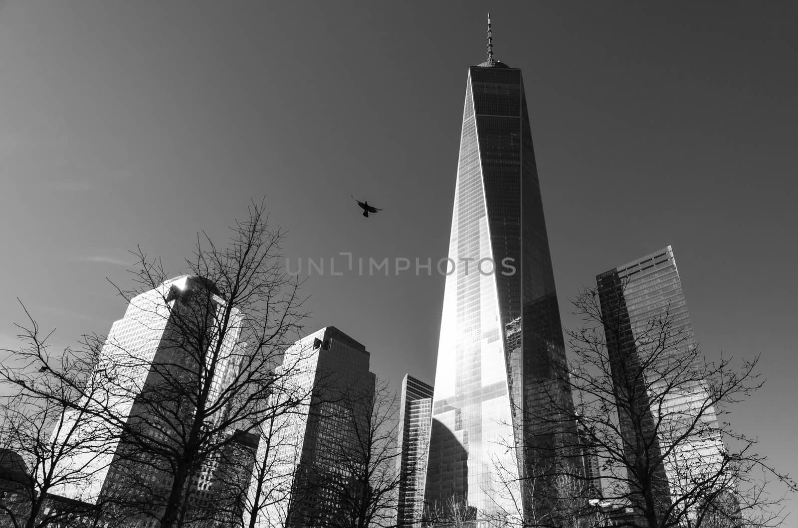 Low angle view of the One World Trade Centre in Manhattan, New York by mauricallari