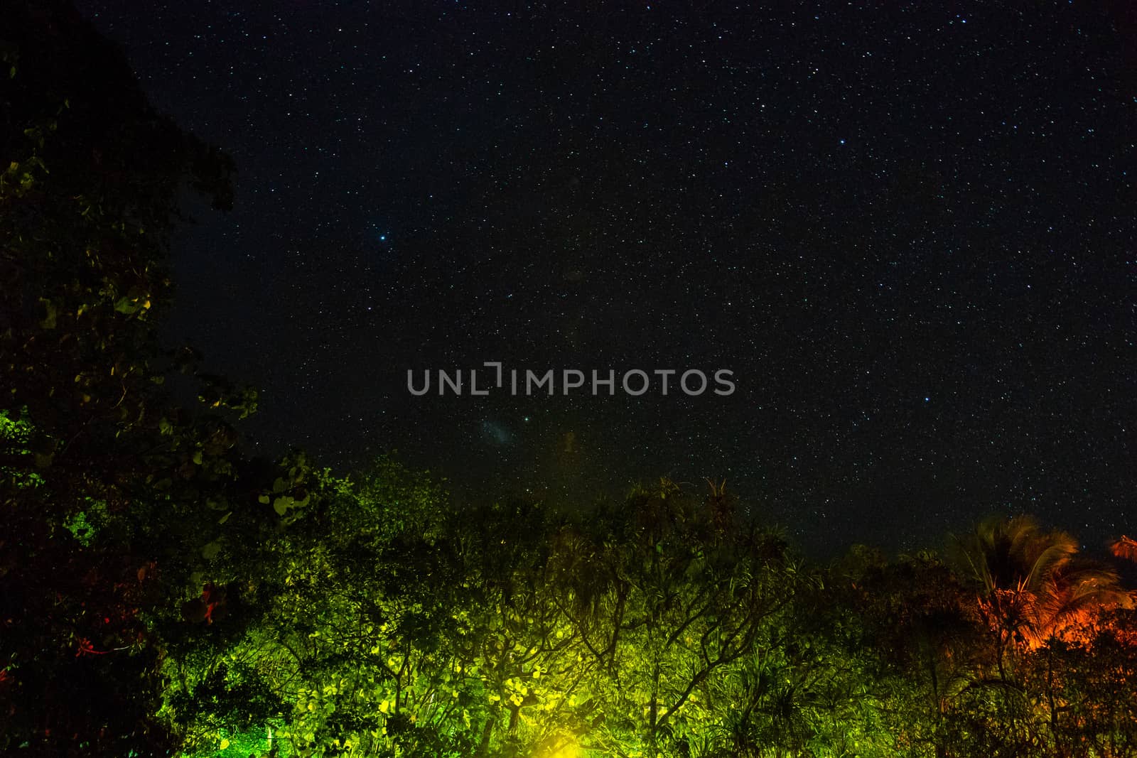 Starry night sky from Fitzroy Island beach, Queensland, Australia by mauricallari