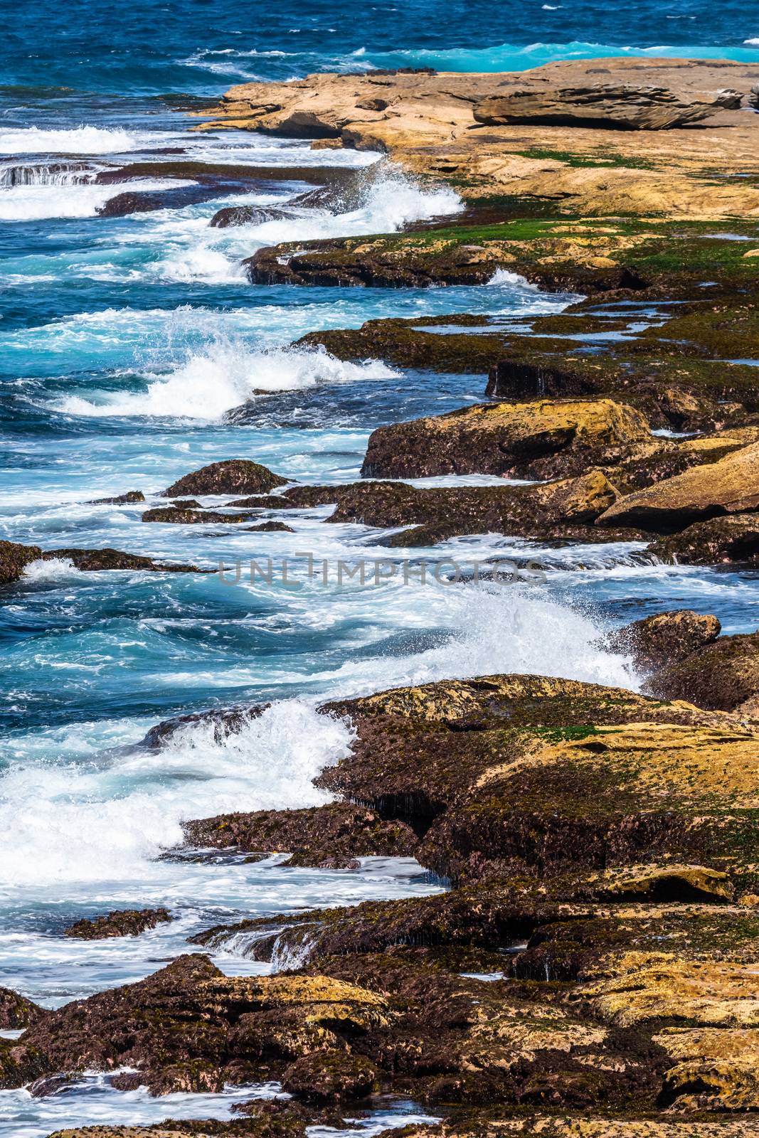 Close up of the coastline from the Coogee to Bondi walk by mauricallari