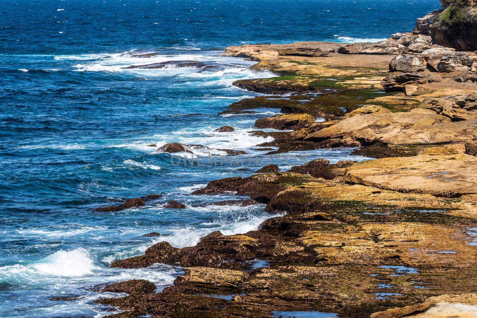 Close up of the coastline and rocks captured from the Coogee to Bondi walk, Sydney, Australia