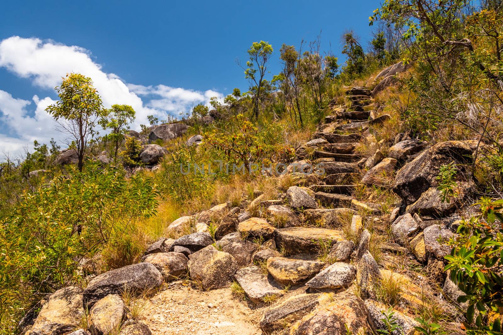 Rocky trail to the top of Fitzroy Island, Queensland, Australia by mauricallari