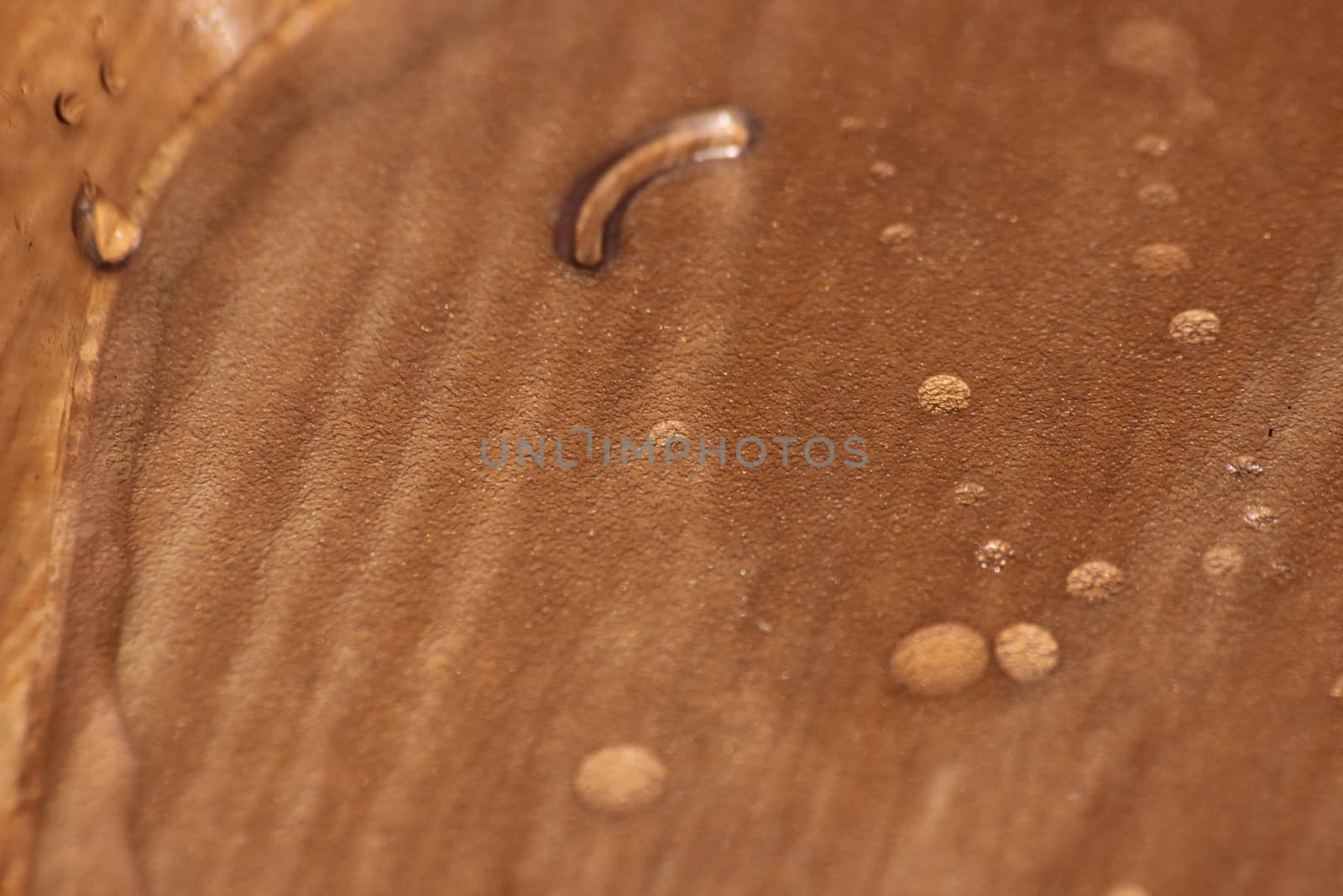 Closeup selective focus view of water drops on wooden floor. by Photochowk