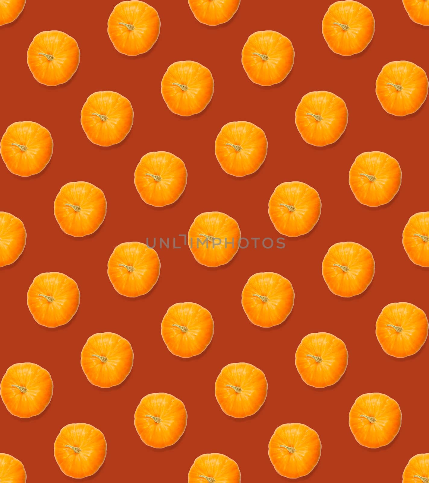 Seamless pattern with pumpkin. Autumn abstract seamless pattern made from Pumpkins on the red background. Pumpkin quality pattern. by PhotoTime