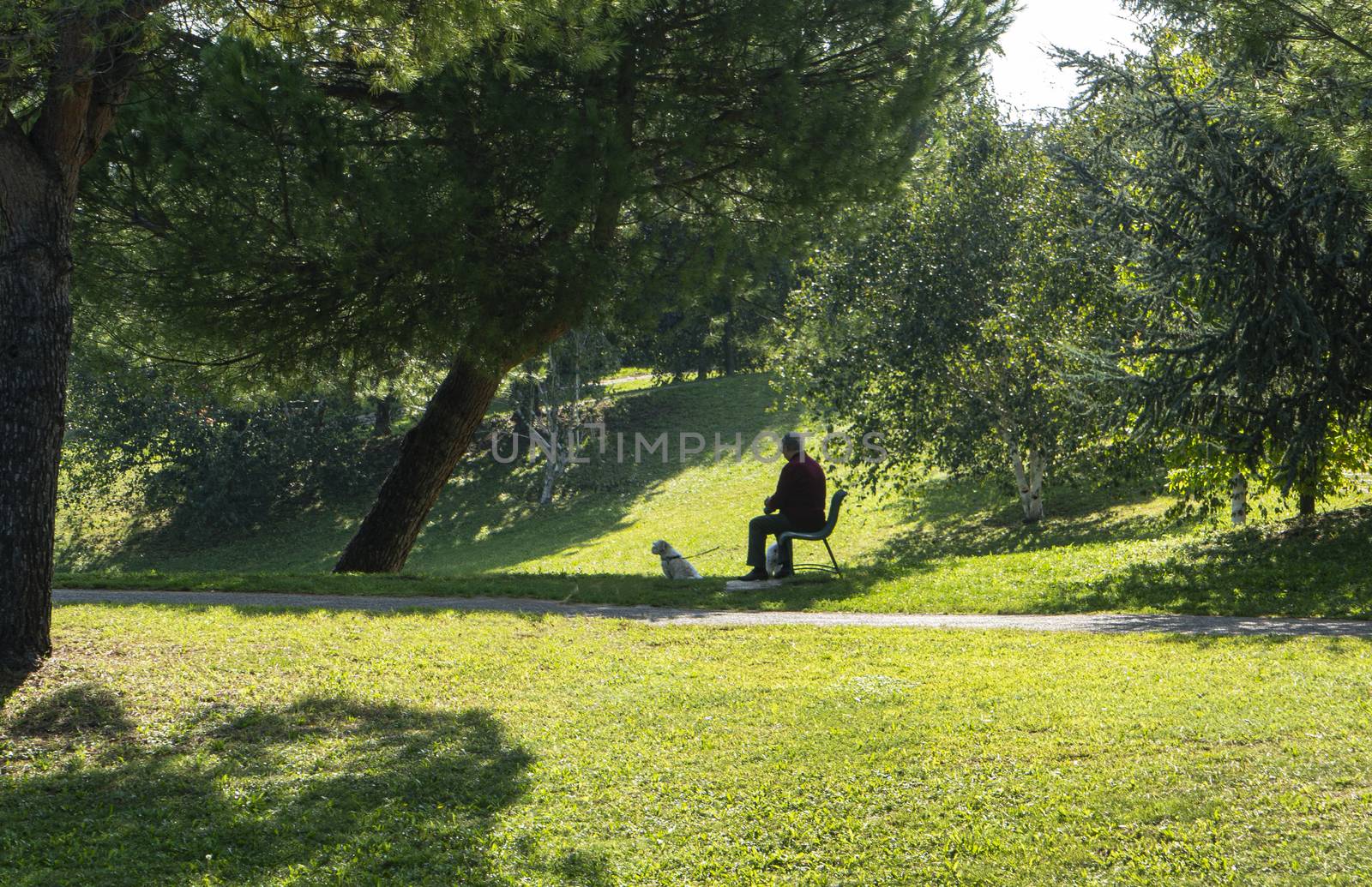 a man in the company of his dog sitting on a park bench