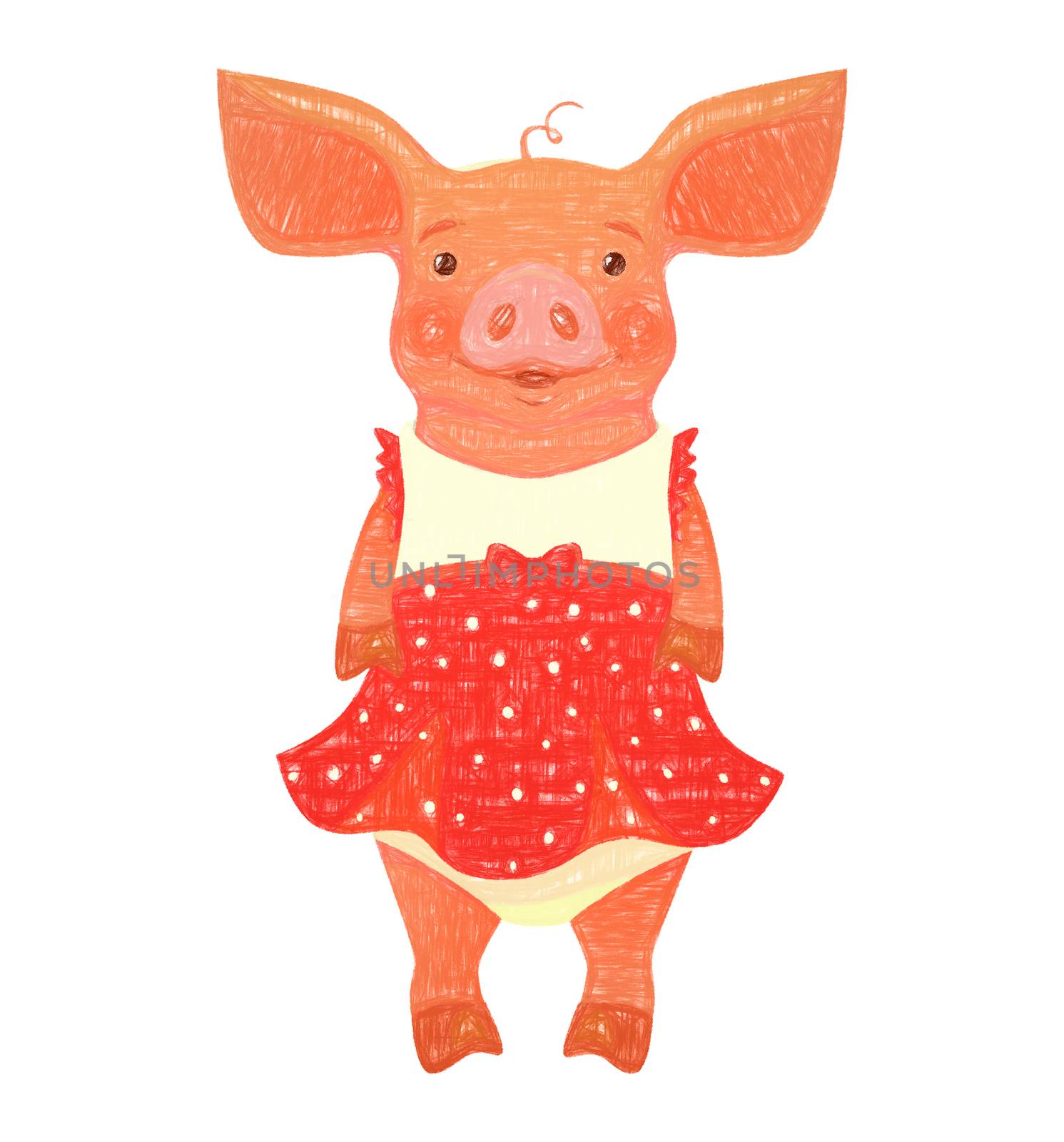 Piggy in red dress. Cute funny piggy girl in dress. illustration