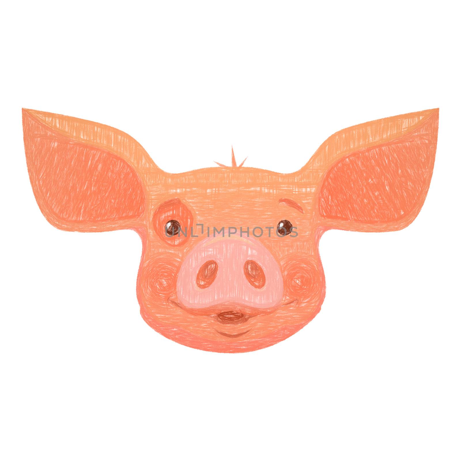 head of pink pig by Visual-Content