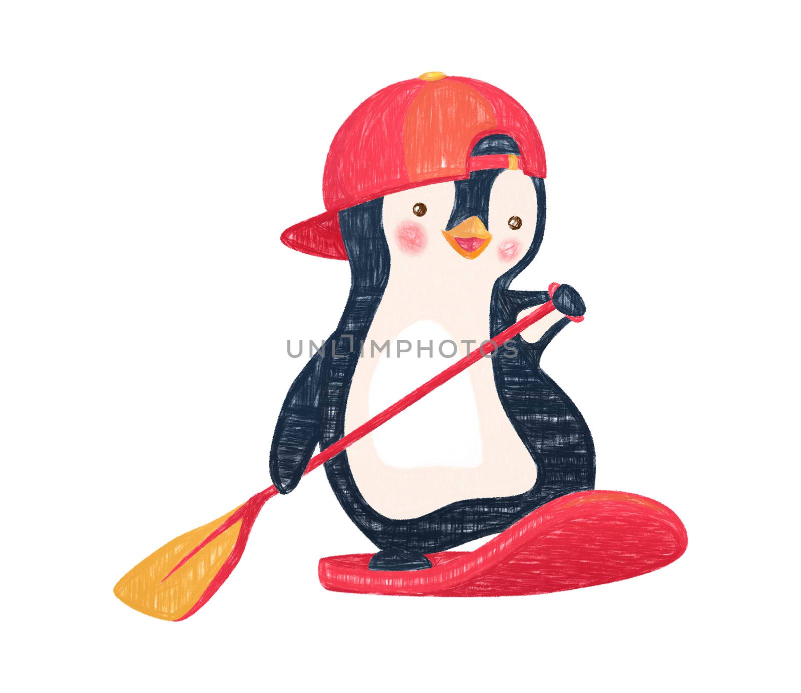 Penguin floating on SUP board. Paddle board. Penguin illustration